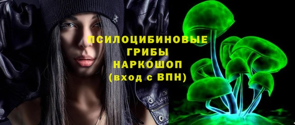 apvp Пестово