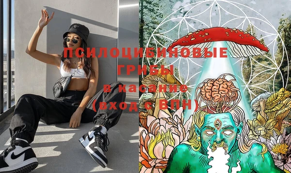 прущие крисы Пересвет